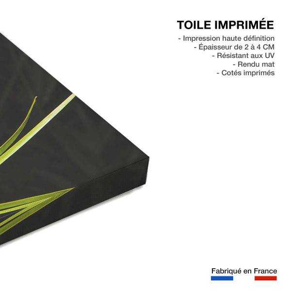 Tableau fleur de lotus et galets 45 x 30 x 45 cm - Fibres naturelles
