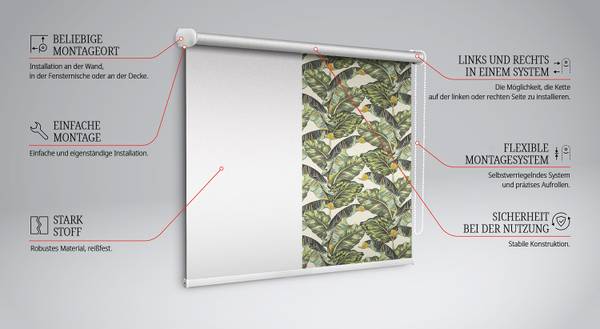 Rolgordijn PHYLLA 60 x 140 cm