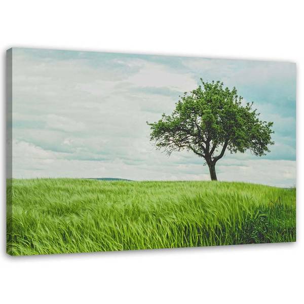 Wandbild baum auf dem feld 60 x 40 cm