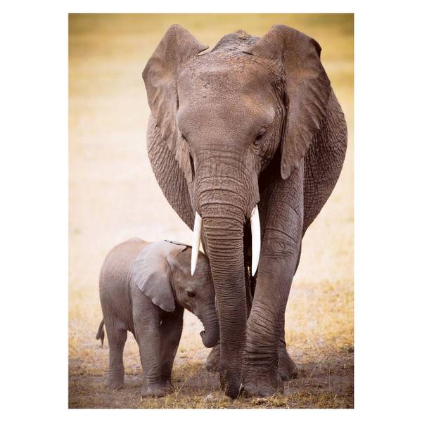 Puzzle Elephant & Baby Papier - 26 x 6 x 36 cm