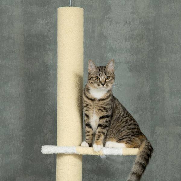 Arbre à chat 770731 Jaune - Bois manufacturé - 16 x 54 x 41 cm