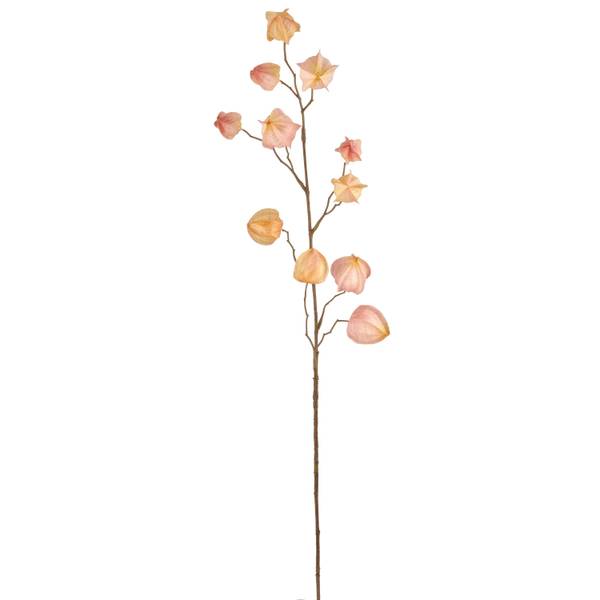 Kunstpflanze PHYSALIS I Orange - Holzwerkstoff - 1 x 1 x 1 cm