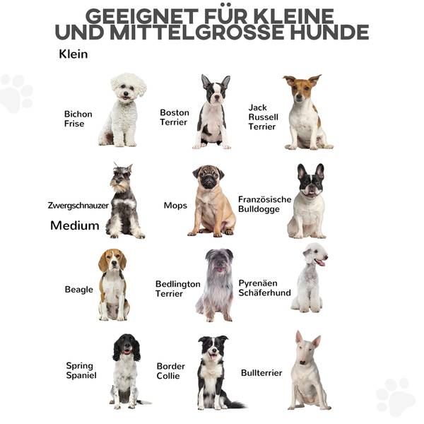 Hundegitter BB7063 Beige - Massivholz - 77 x 16 x 77 cm