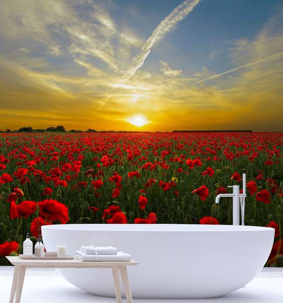 Fototapete Mohnblumen Wiese Natur 100 x 100 cm