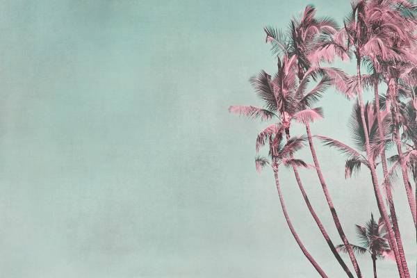 Leinwandbild Tropical Breeze 120 x 80 cm