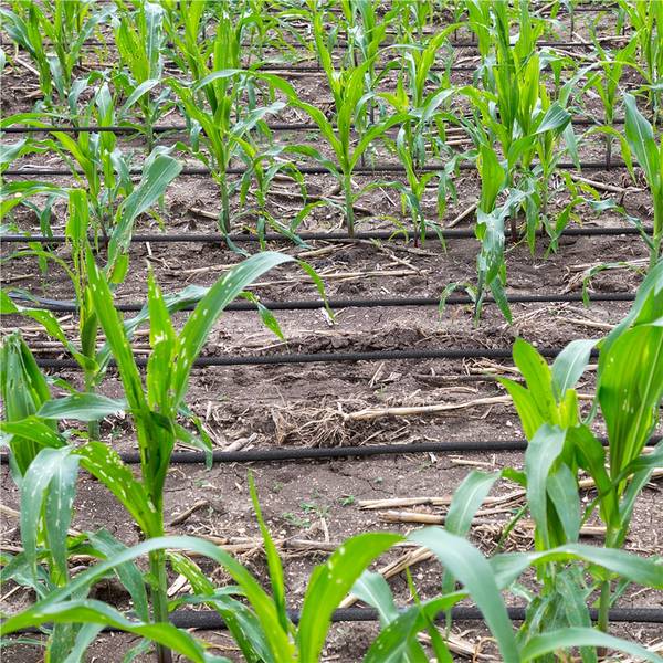 Gartenschlauch ARJ10 Schwarz - Kunststoff - 40 x 13 x 40 cm