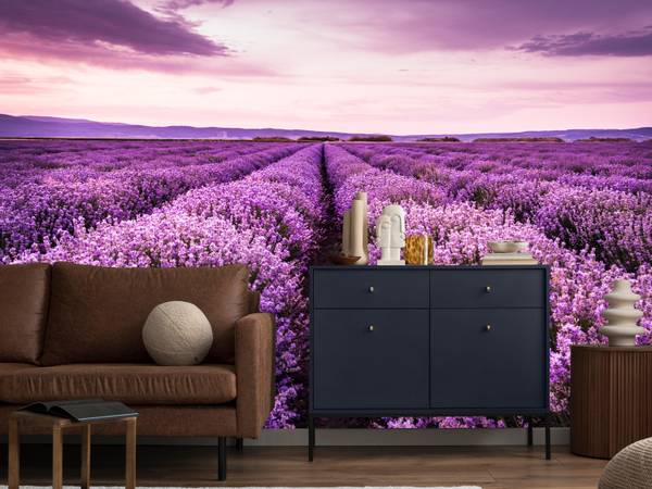 Fototapete Lavendel Wiese Klappe Natur 100 x 70 x 70 cm