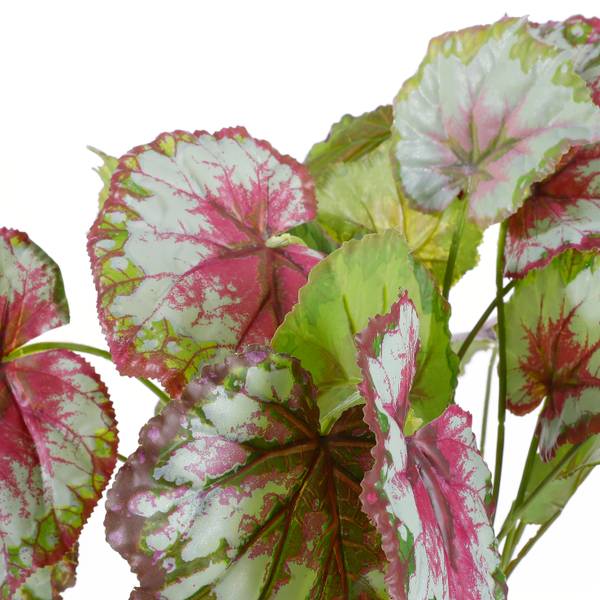 Kunstpflanze Begonien 38 x 40 x 38 cm