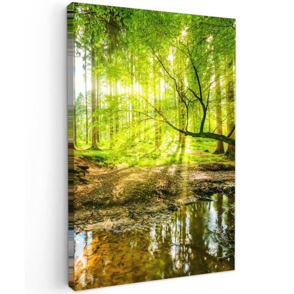 LEINWANDBILD Wald 60 x 90 cm