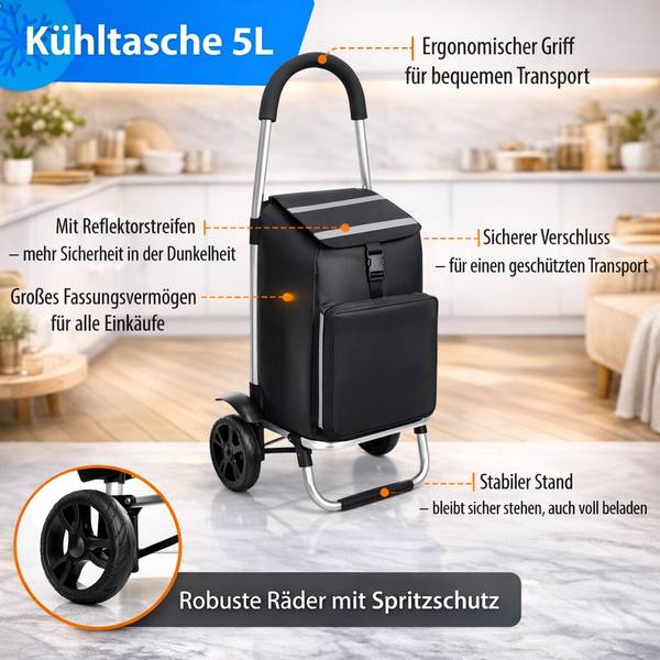 Einkaufstrolley 1002912 Schwarz - Kunststoff - 45 x 104 x 29 cm