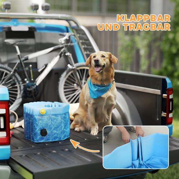 Hundepool D01-057V02BU Blau - Kunststoff - 120 x 30 x 120 cm