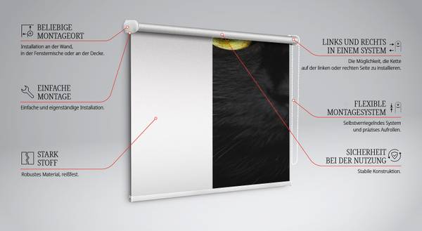 Rollo OCULUS 60 x 140 cm