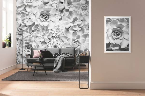 Fototapete 612370 Grau - Papier - 400 x 250 x 250 cm