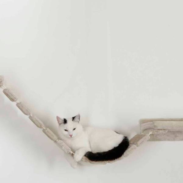 Katzenbaum 425774 Beige - Massivholz - 37 x 30 x 37 cm