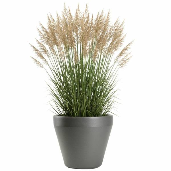 Blumentopf Purea Grau - 55 x 49 x 55 cm