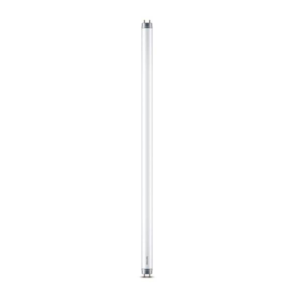 Leuchtmittel G13 - Röhre T8 600 Weiß - Klarglas - 2 x 1 x 2 cm