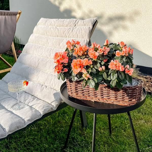 Blumentopf 35B Braun - Naturfaser - 11 x 11 x 35 cm