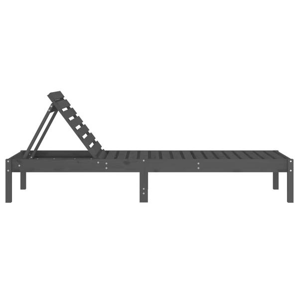 Sonnenliege 3029066-2 (2er Set) Grau - Kiefer - 60 x 74 x 199 cm