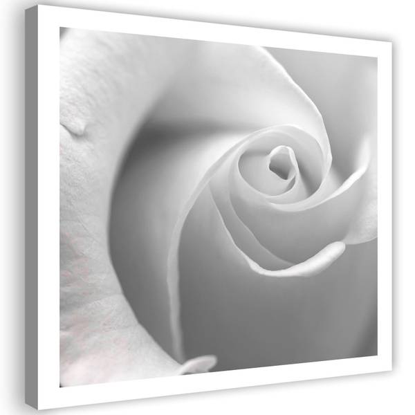 Tableau déco gros plan sur une rose 50 x 50 cm