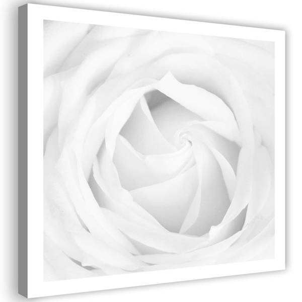 Wandbild rose 40 x 40 cm