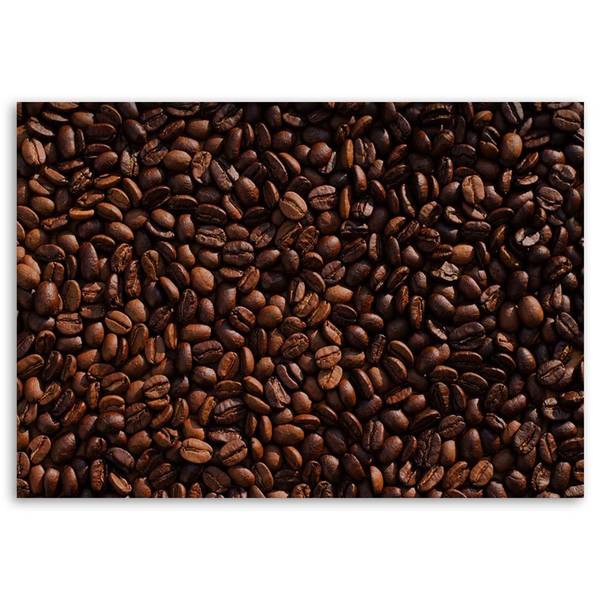 Wandbild kaffeebohnen pflanzen natur 90 x 60 cm