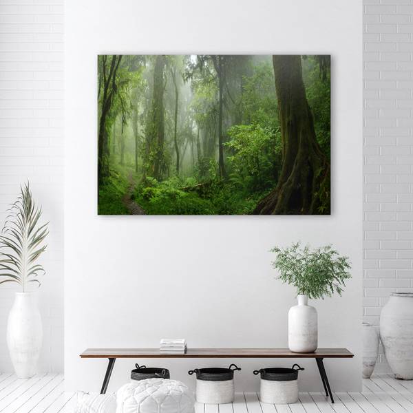 Wandbild tropischer wald dschungel 100 x 70 cm