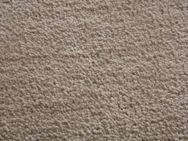 Wohnzimmerteppich VELINA 160 x 230 cm