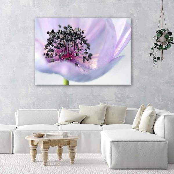 Wandbild anemone 120 x 80 cm