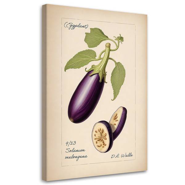 Wandbild vintage-gemüse aubergine 70 x 100 cm