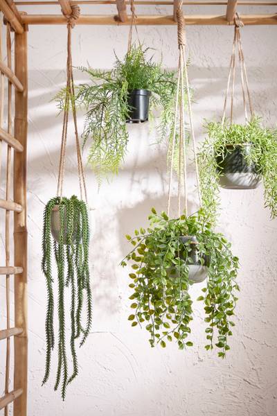 Knstliche Hngepflanze Ficus kaufen | home24