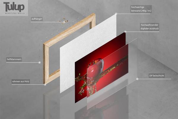 Wandbild Giraffen und Zebras Braun - Mischgewebe - 100 x 50 x 4 cm