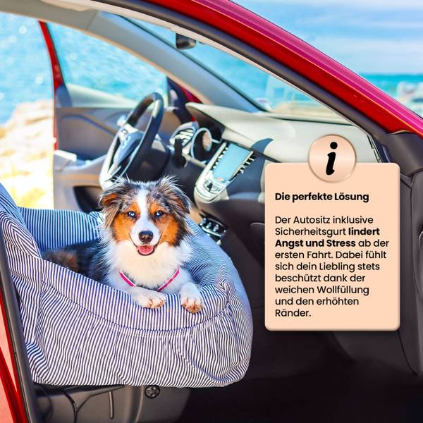 Hunde Autositz Premium Braun - 60 x 55 cm