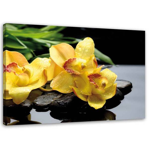 Wandbild narzissen und steine zen 120 x 80 cm