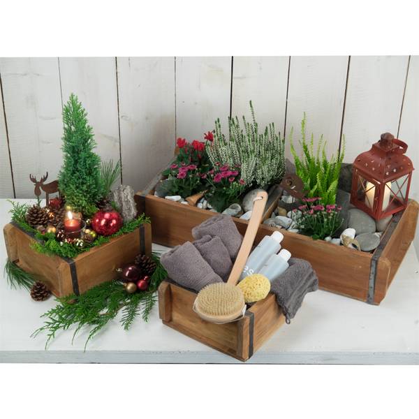 Kisten-Set Bricks III 3-teilig Braun - Massivholz - 65 x 14 x 30 cm