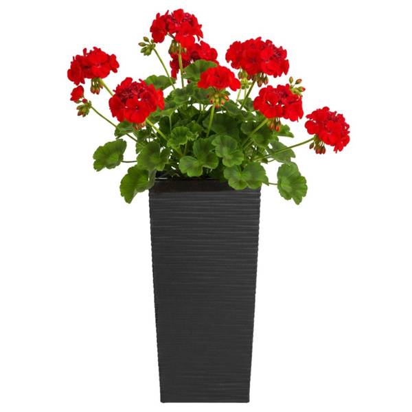 Blumentopf Porto 3er-Set Schwarz