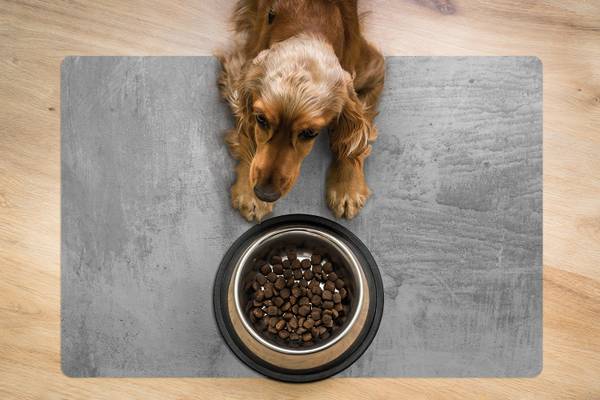 Futtermatte Grauer Beton Grau - Polyester PVC - 60 x 90 x 1 cm