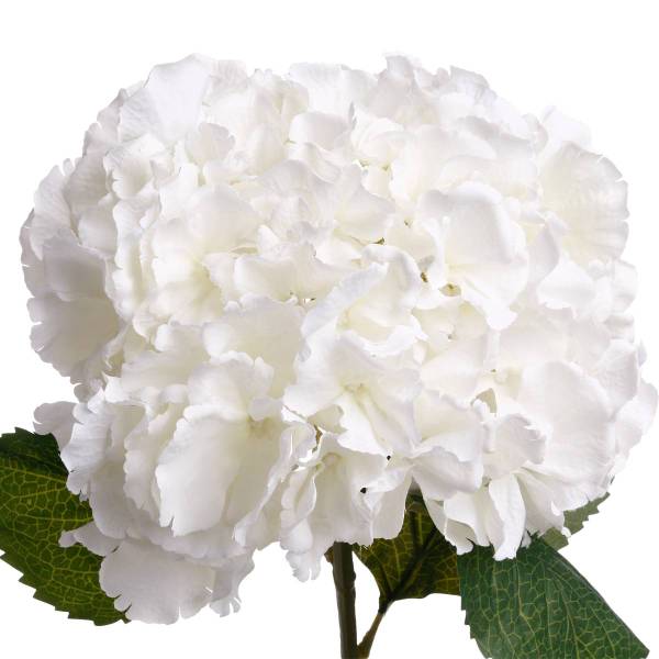 Künstlicher Blumenstiel HORTENSIA Weiß