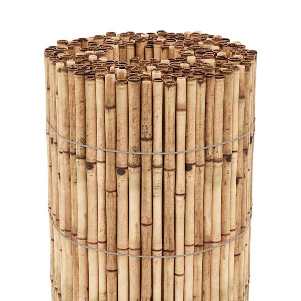 Schilfrohrmatte Allzio Breite: 300 cm