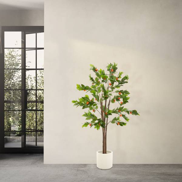 Orangenbaum MILANO Höhe: 160 cm