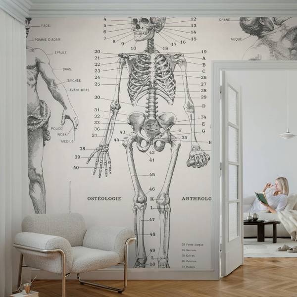 Fototapete Elements 208 x 146 cm