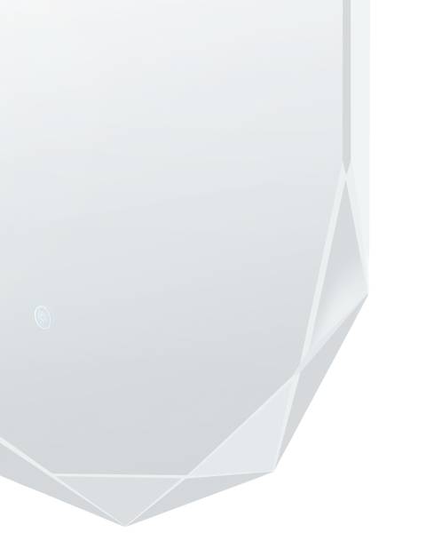 Badezimmerspiegel ANIZY Silber - Bambus - 62 x 110 x 4 cm