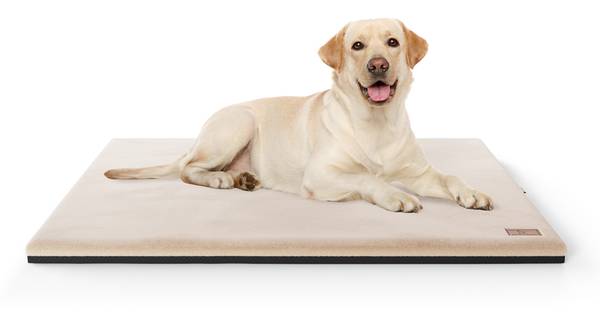 Hundematte Berrith Beige - 85 x 120 cm