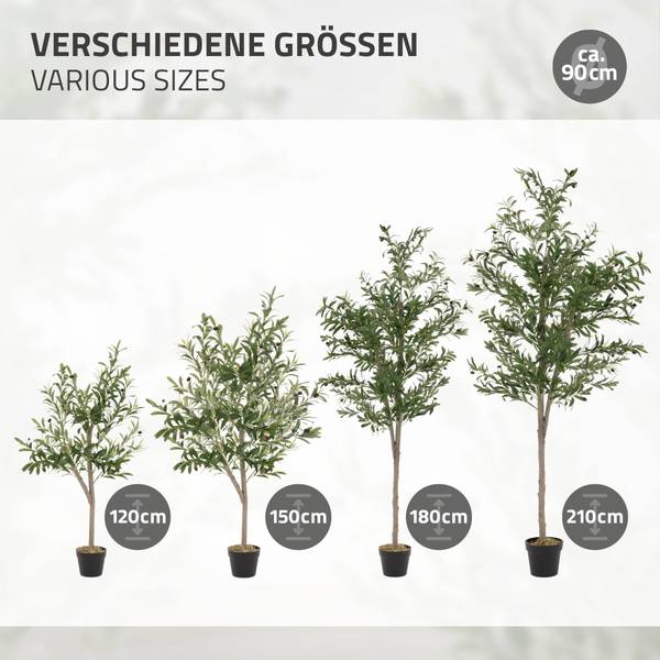 grünlilie gekräuselt Grünlilie