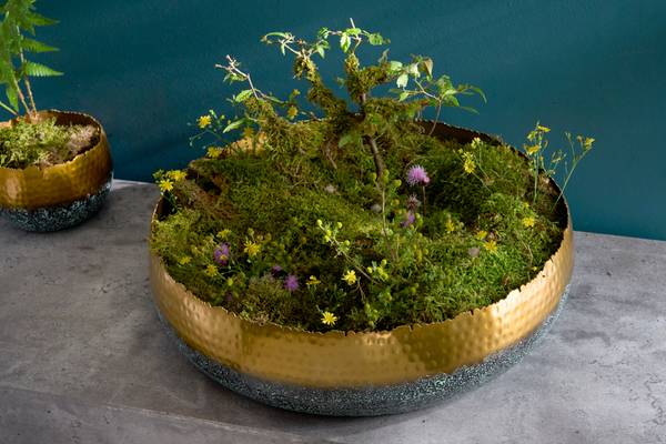 Deko Schale ORIENT 52 x 14 x 52 cm