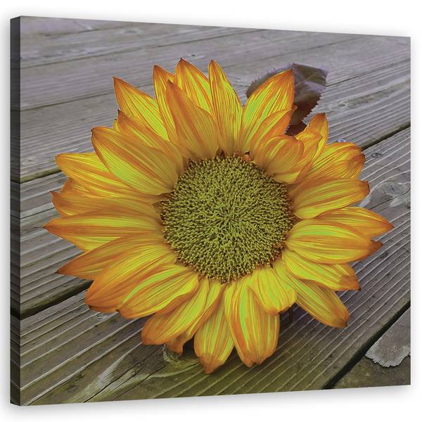 Wandbild sonnenblume 30 x 30 cm