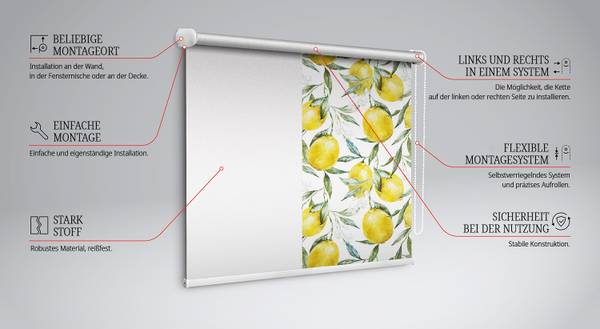 Innenrollo LIMONIA 60 x 140 cm