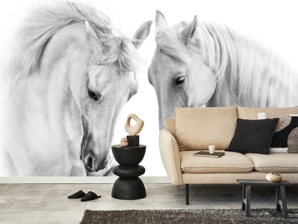 Fototapete Pferde Natur Tiere 250 x 175 x 175 cm