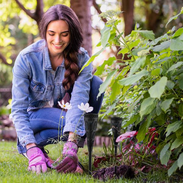 Lampe solaire pour extérieur en set Nombre de pièces dans le lot : 10