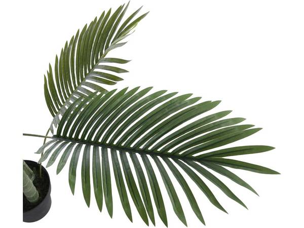 Kunstpflanze COCONUT Grün - Kunststoff - 80 x 190 x 80 cm