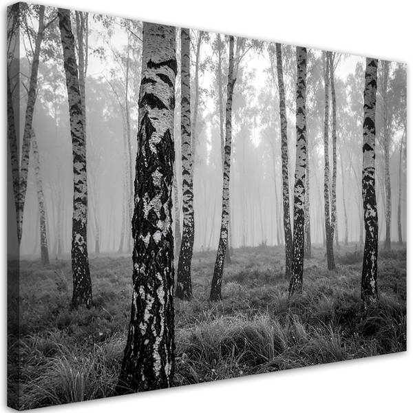 Wandbild Wald 60 x 40 cm